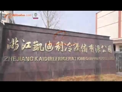 Introdução do resumo da empresa