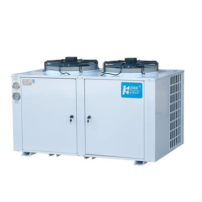 Líquido refrigerante mais frio de baixa temperatura do ajuste R22 das unidades de refrigeração do armazenamento frio