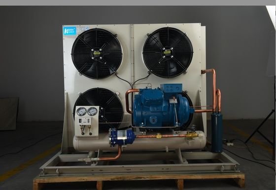 Sistema de refrigeração de condensação da unidade da sala fria de Monoblock do Temp de Frost para o armazenamento frio