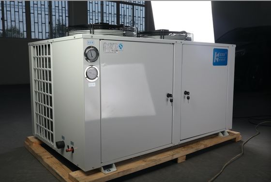 Líquido refrigerante de condensação do compressor 404a da unidade da sala do congelador de