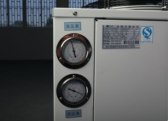 Líquido refrigerante de condensação do compressor 404a da unidade da sala do congelador de Copeland