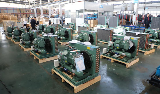 Tipo compressor de H de pistão de condensação da unidade da sala fria da refrigeração